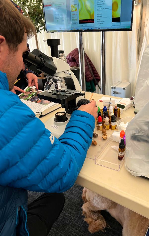 Truffle Education Zone